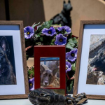 Combat assault dog honoured Combat assault dog honoured