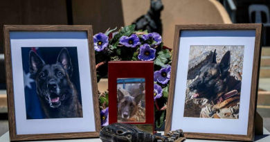 Combat assault dog, Fax, posthumously receives an Australian Animal Distinguished Service Medal at a ceremony at Special Air Service Regiment in Perth. Story by Major S.